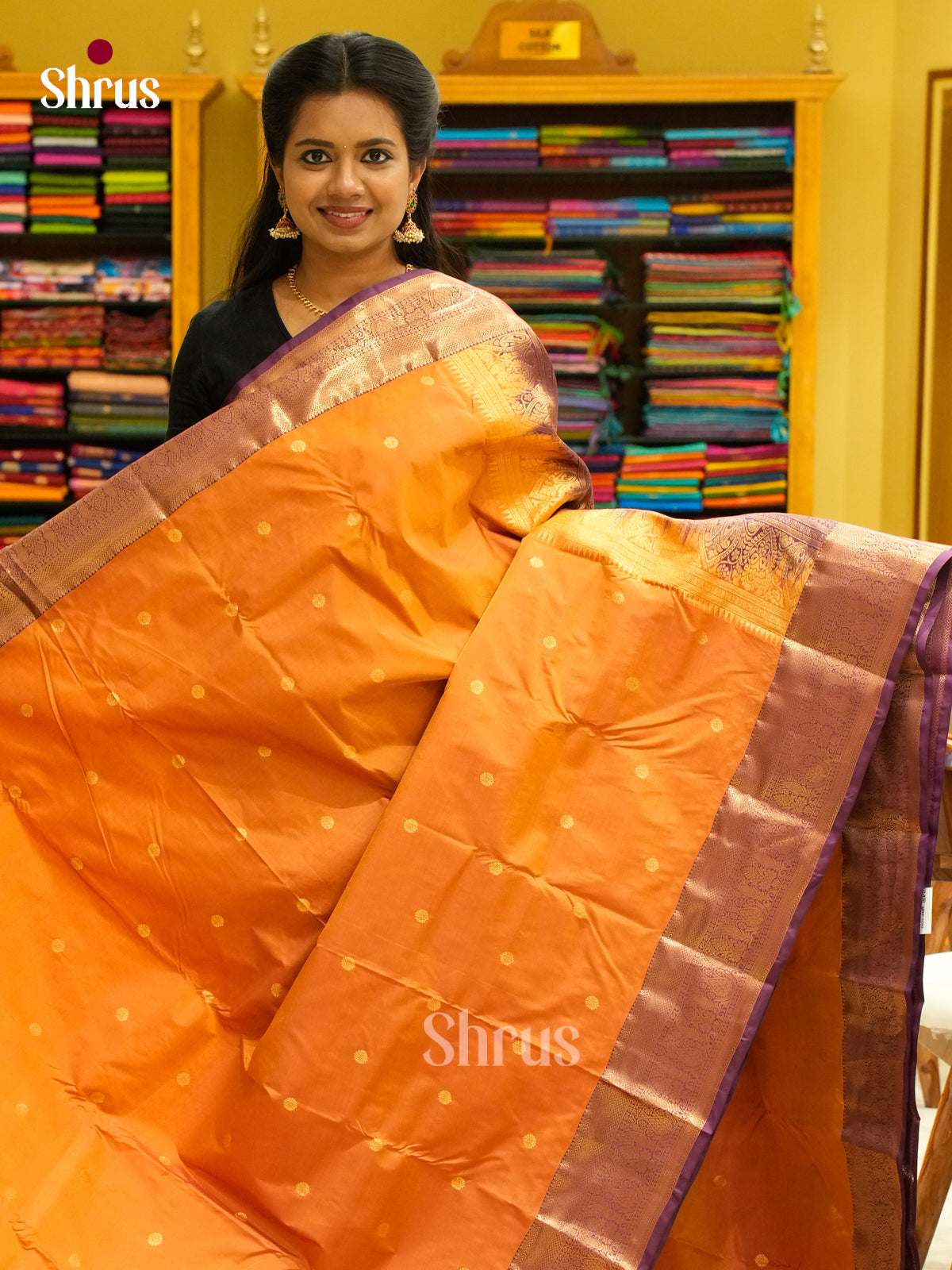 Kanchipuram-halfpure Saree - EH19049