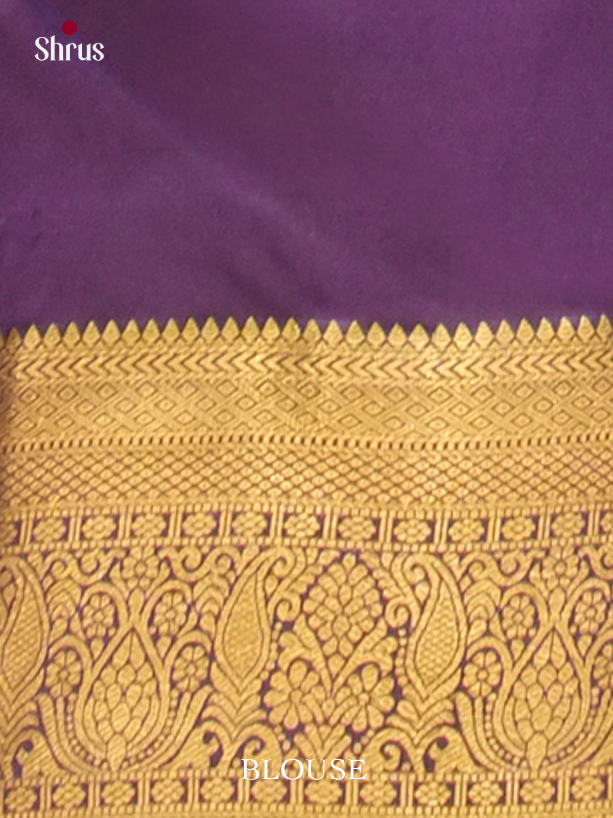 Kanchipuram-halfpure Saree - EH19052