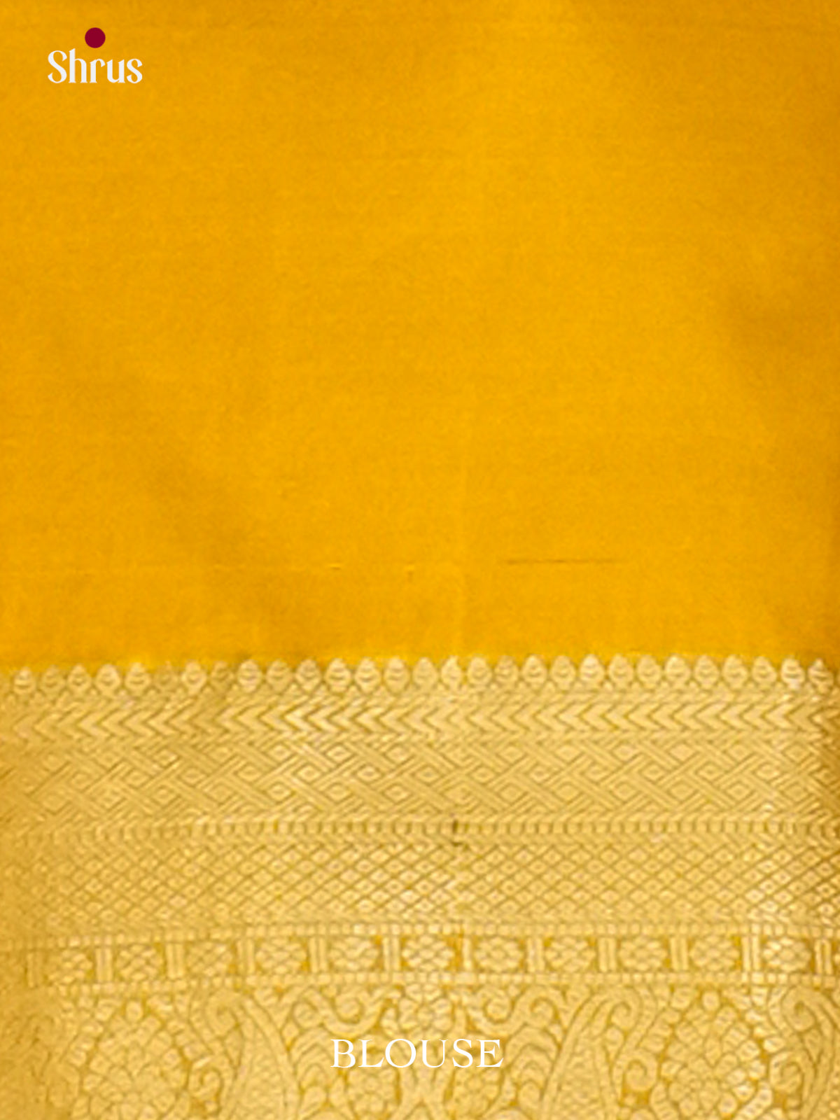 Kanchipuram-halfpure Saree - EH19055