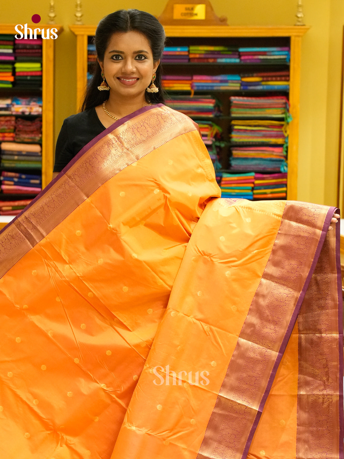 Kanchipuram-halfpure Saree - EH19056