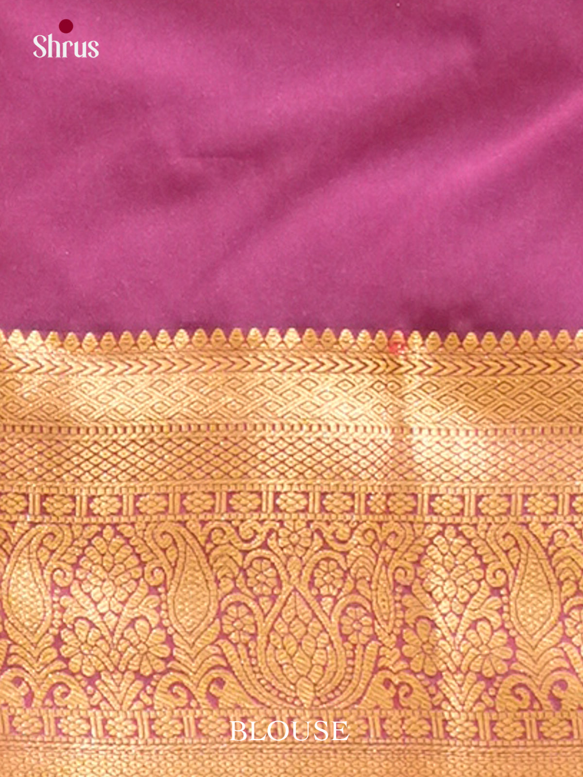 Kanchipuram-halfpure Saree - EH19056