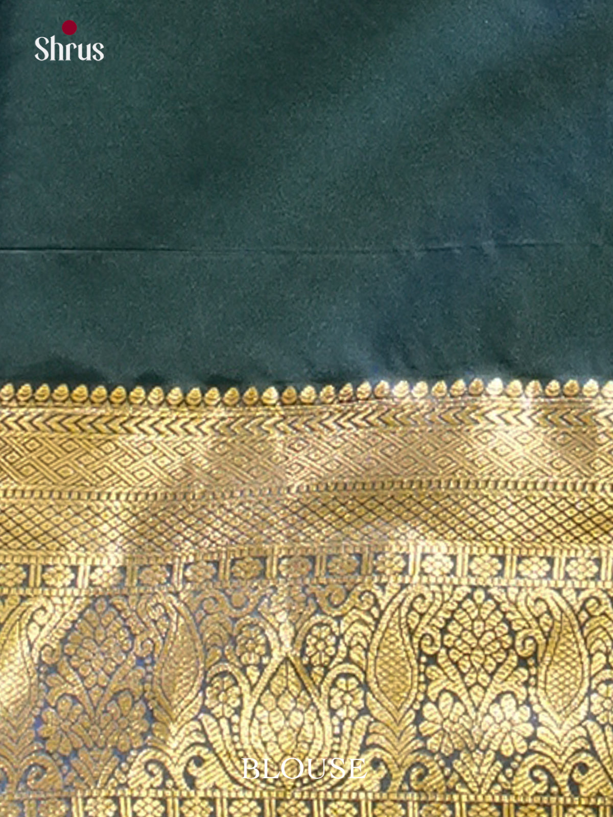 Kanchipuram-halfpure Saree - EH19063