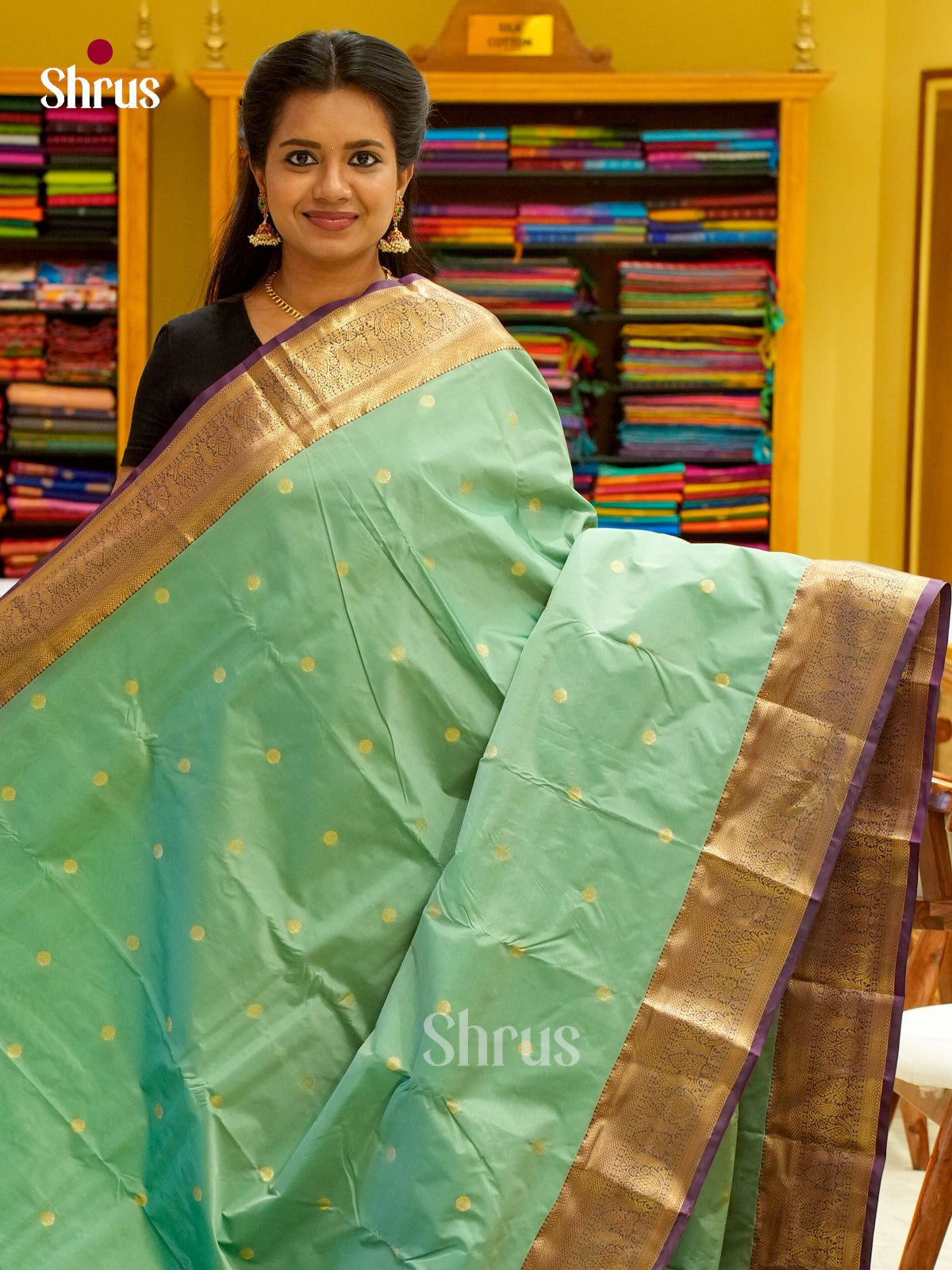 Kanchipuram-halfpure Saree - EH19067