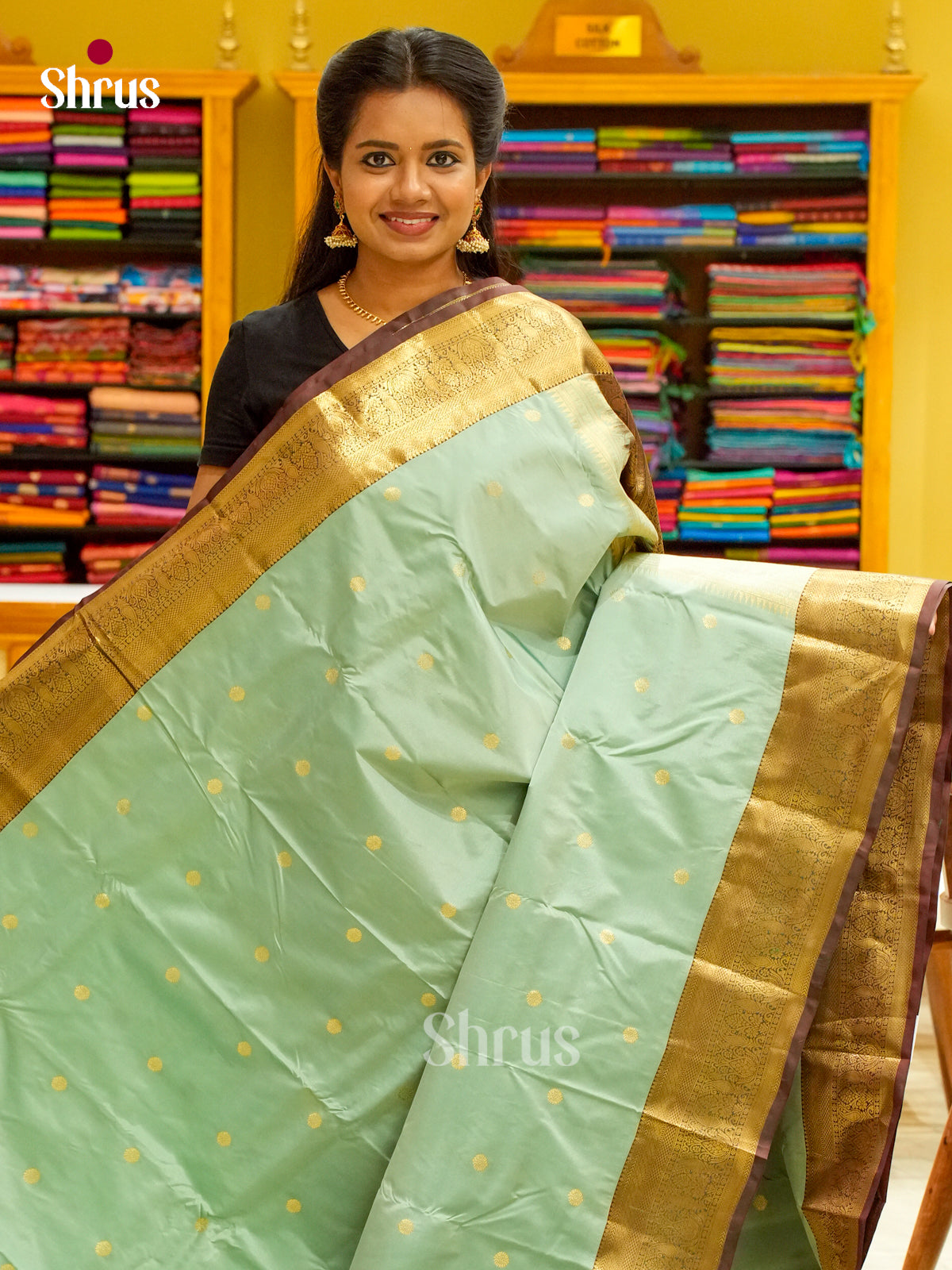 Kanchipuram-halfpure Saree - EH19069