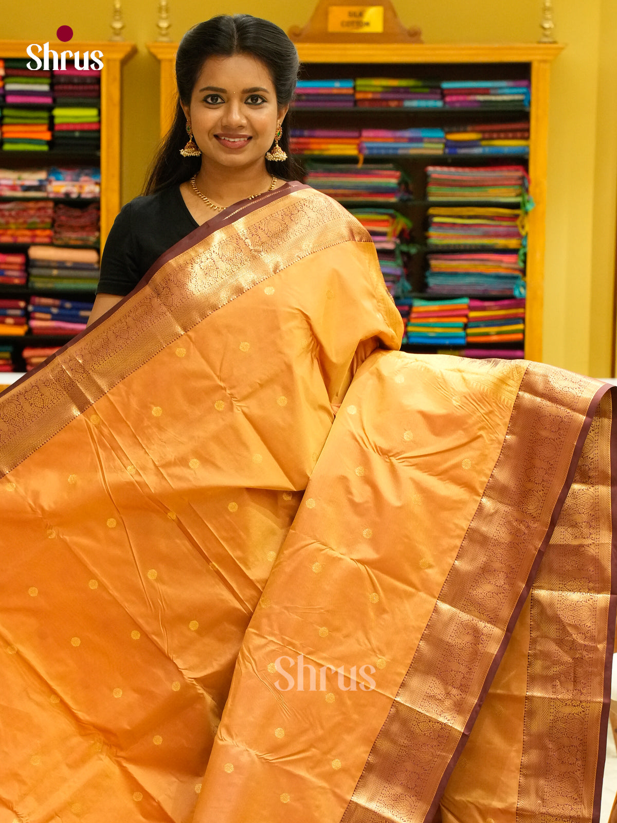 Kanchipuram-halfpure Saree - EH19072