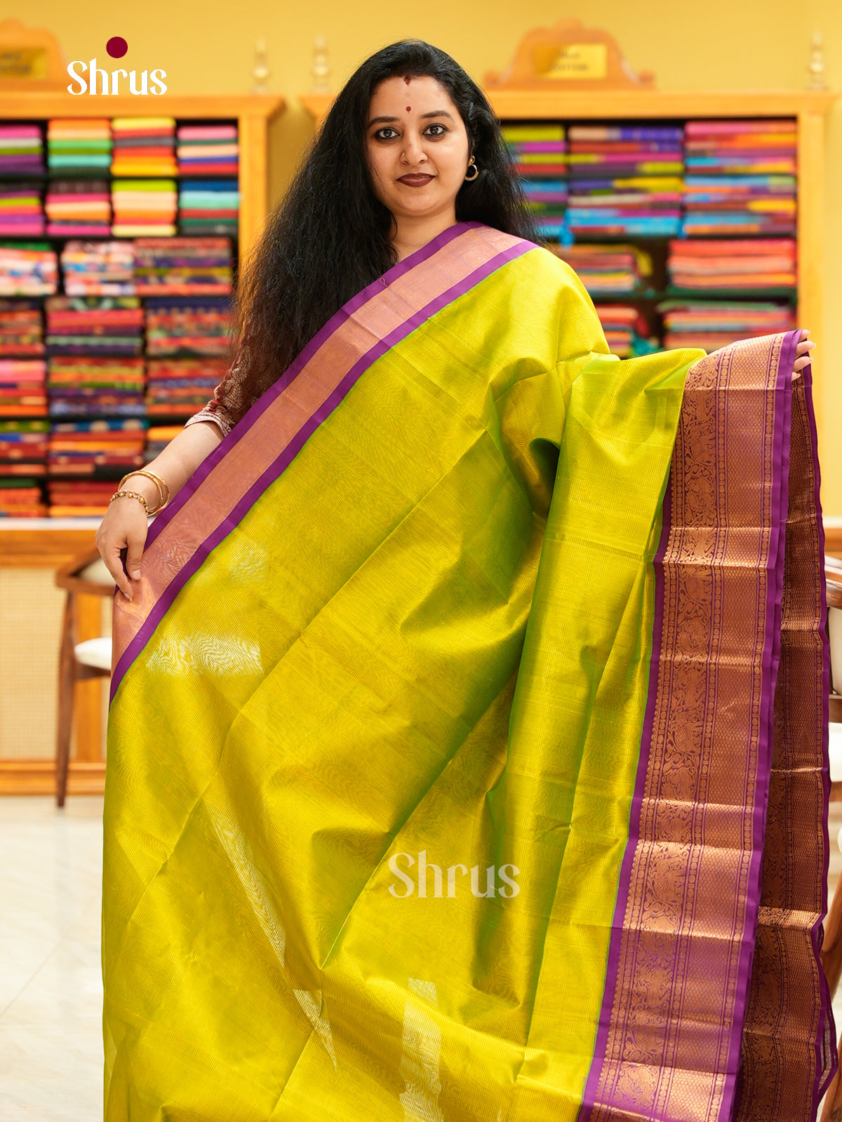 Silk Cotton Saree - EH20002