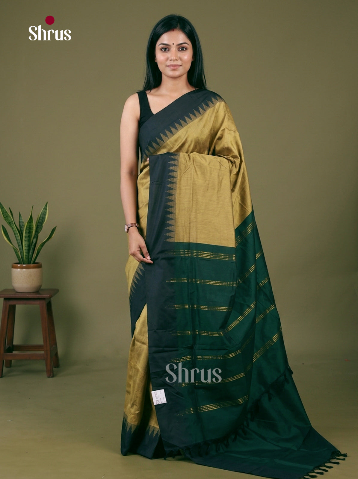 Kalyani Cotton Saree - EH26041