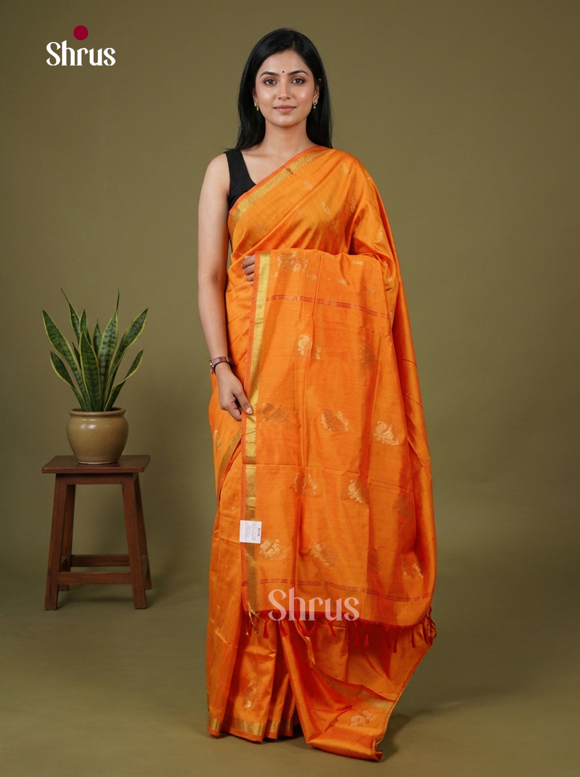 Kalyani Cotton Saree - EH26079