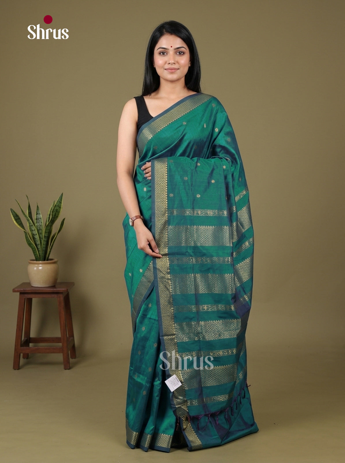 Kalyani Cotton Saree - EH26153