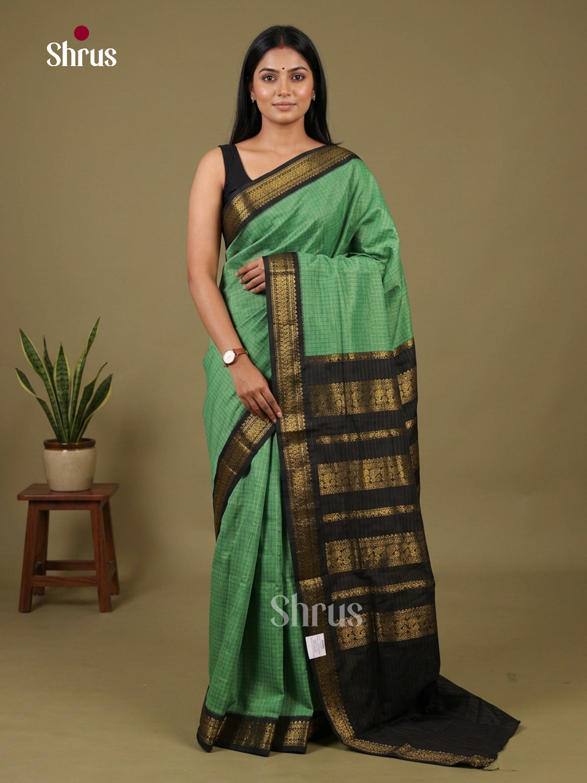Kalyani Cotton Saree - EH26176