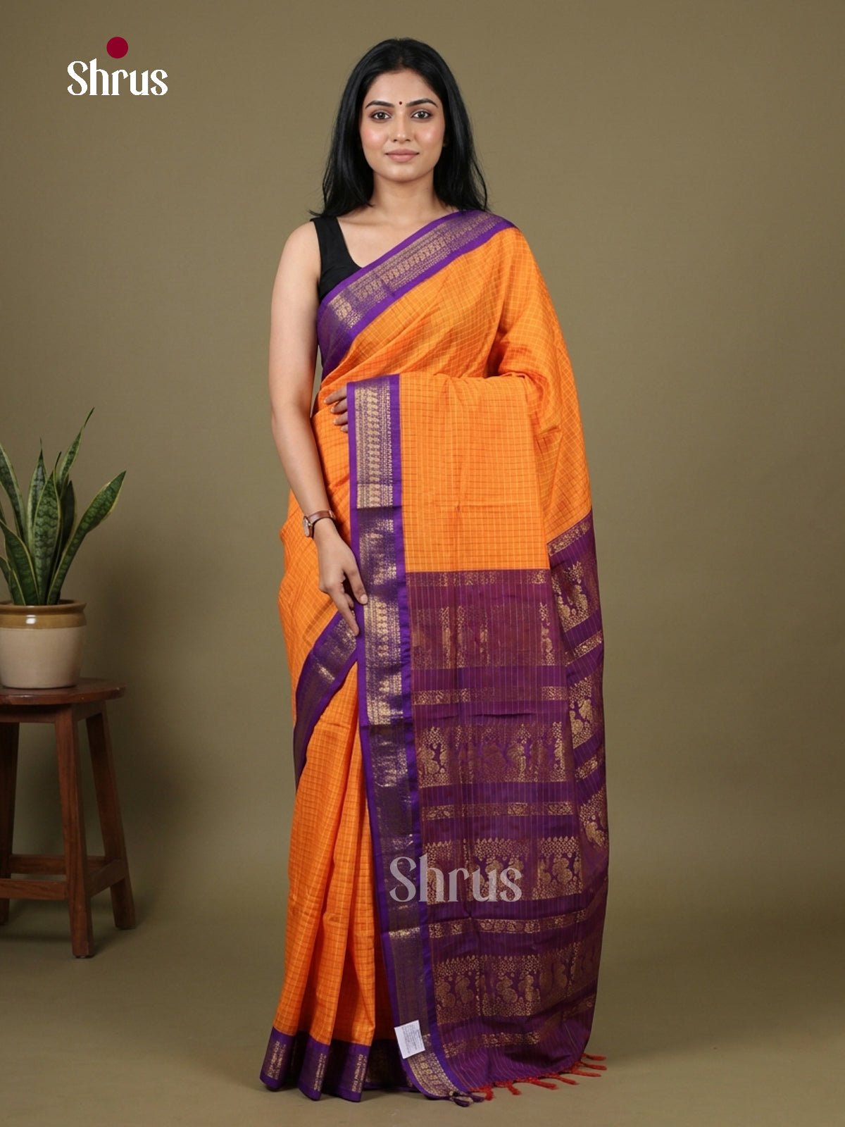 Kalyani Cotton-EH27077