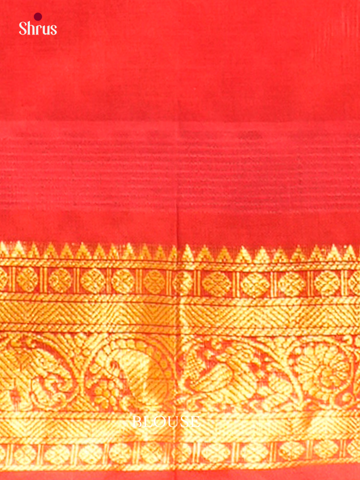 Silk Cotton Saree - EH28006