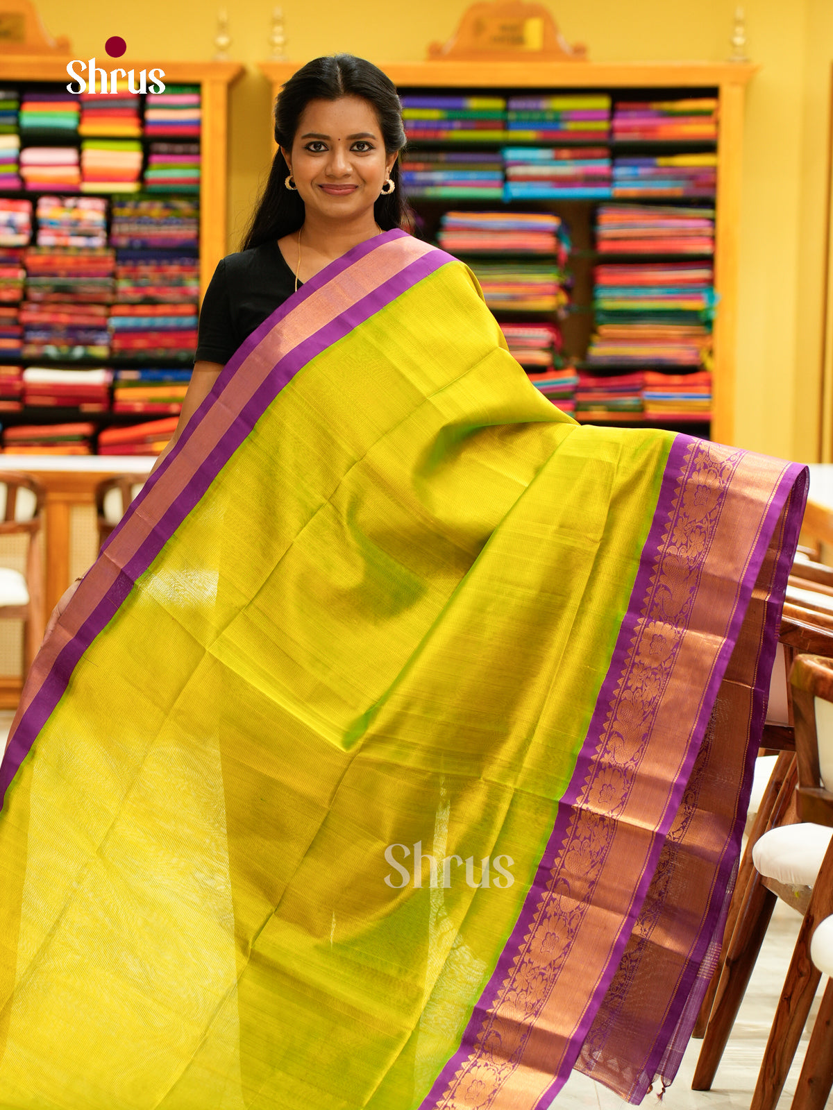 Silk Cotton Saree - EH28038