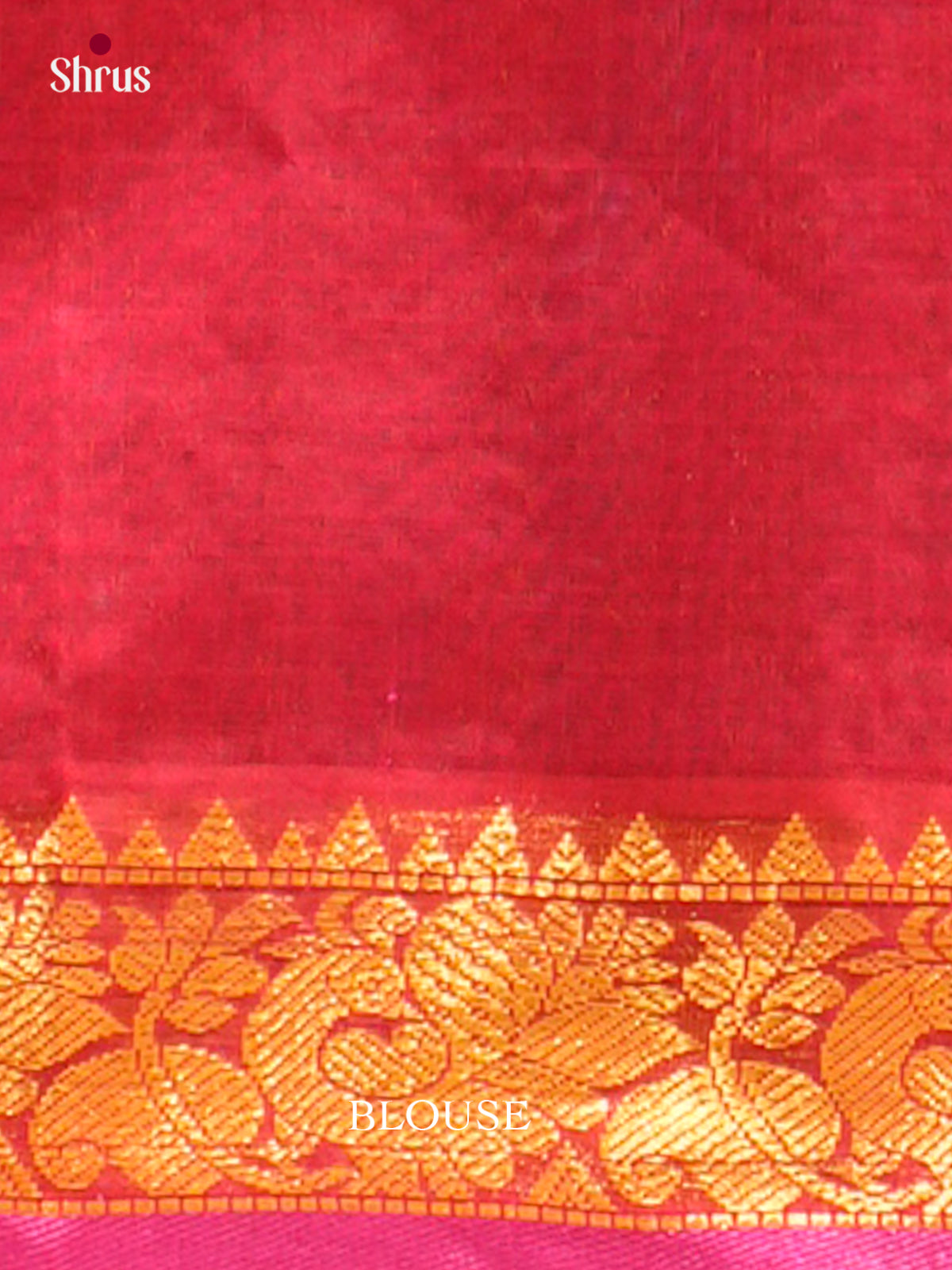 Silk Cotton Saree - EH28057