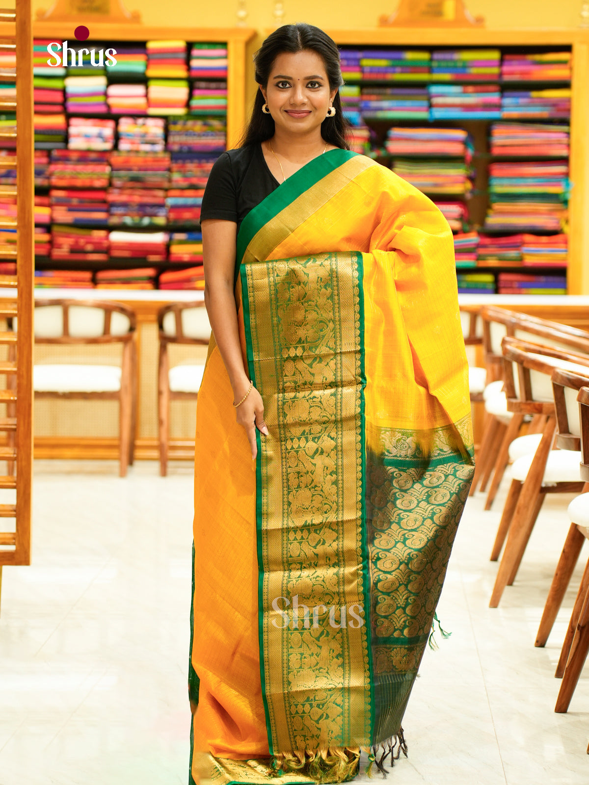 Silk Cotton Saree - EH28068