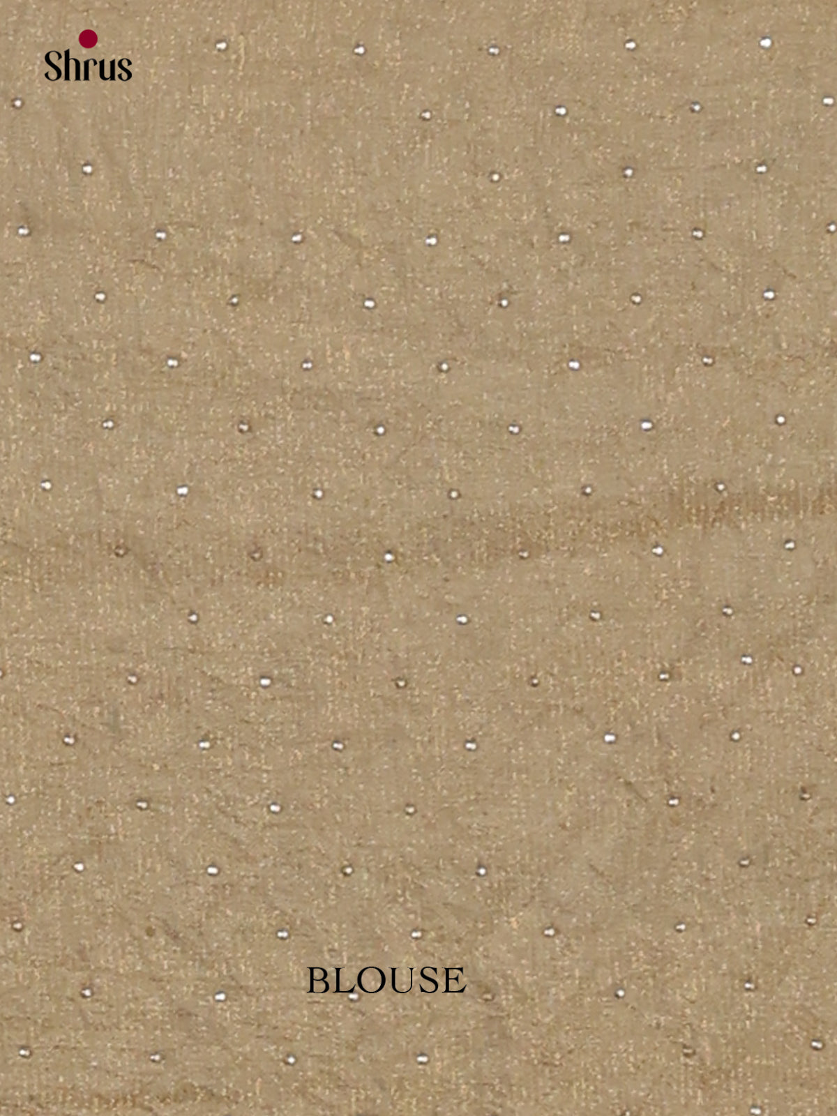 Lustrous Beige Designer Saree with floral nestling stone work - Shop on Shrus.com