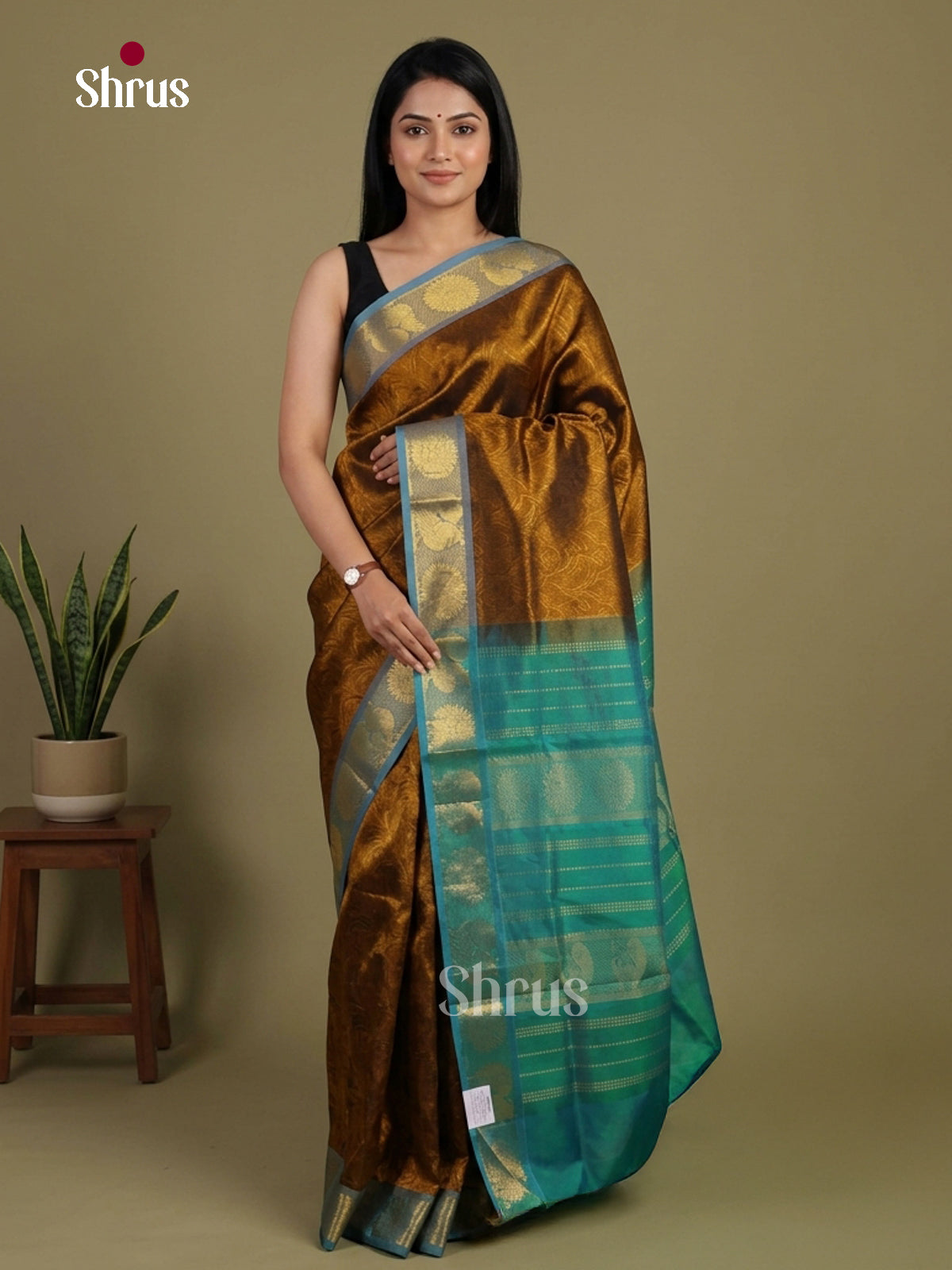 Silk Cotton Saree - EI01015