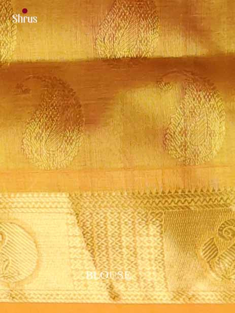 Silk Cotton Saree - EI01018