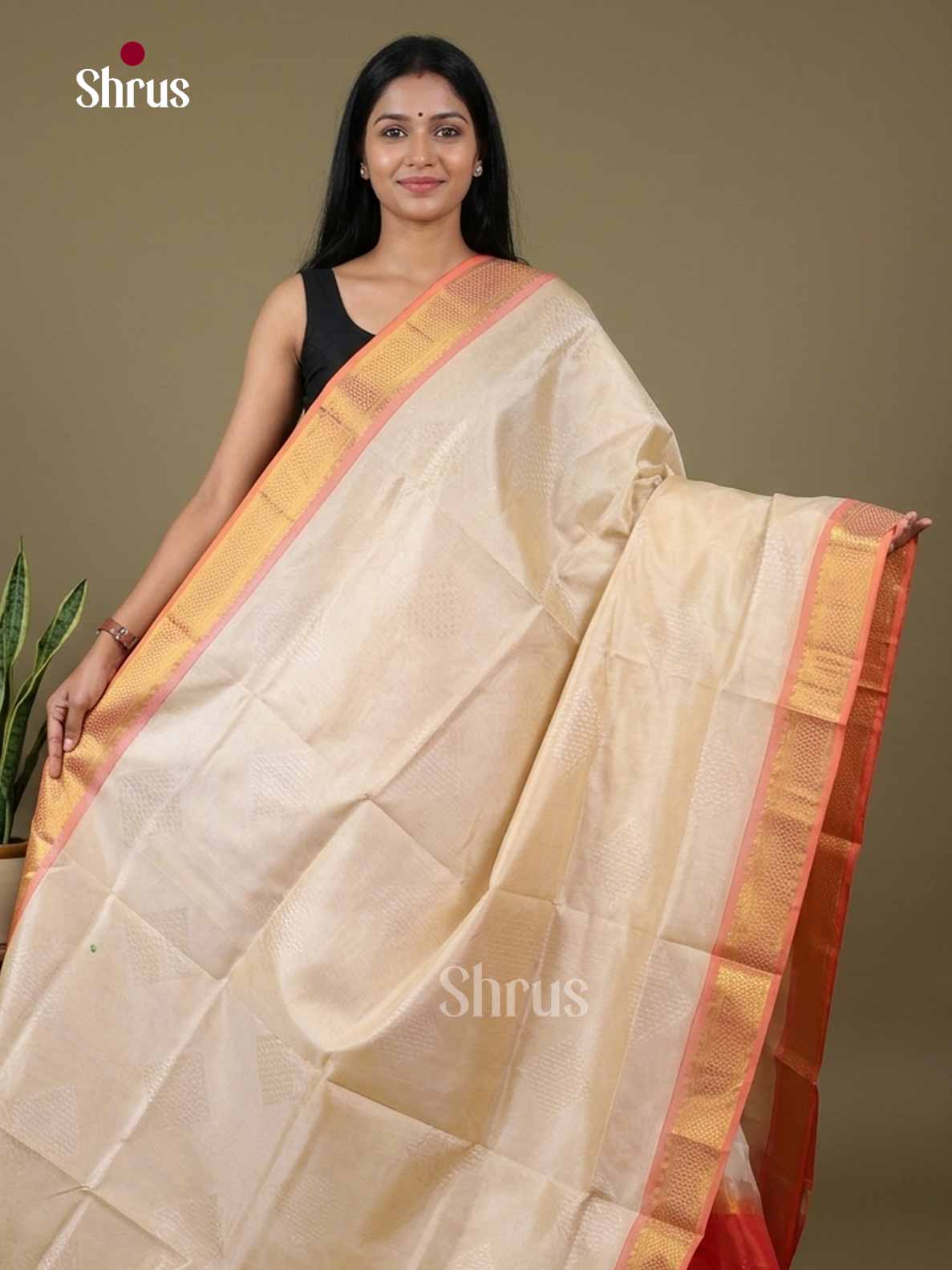 Silk Cotton Saree - EI01026