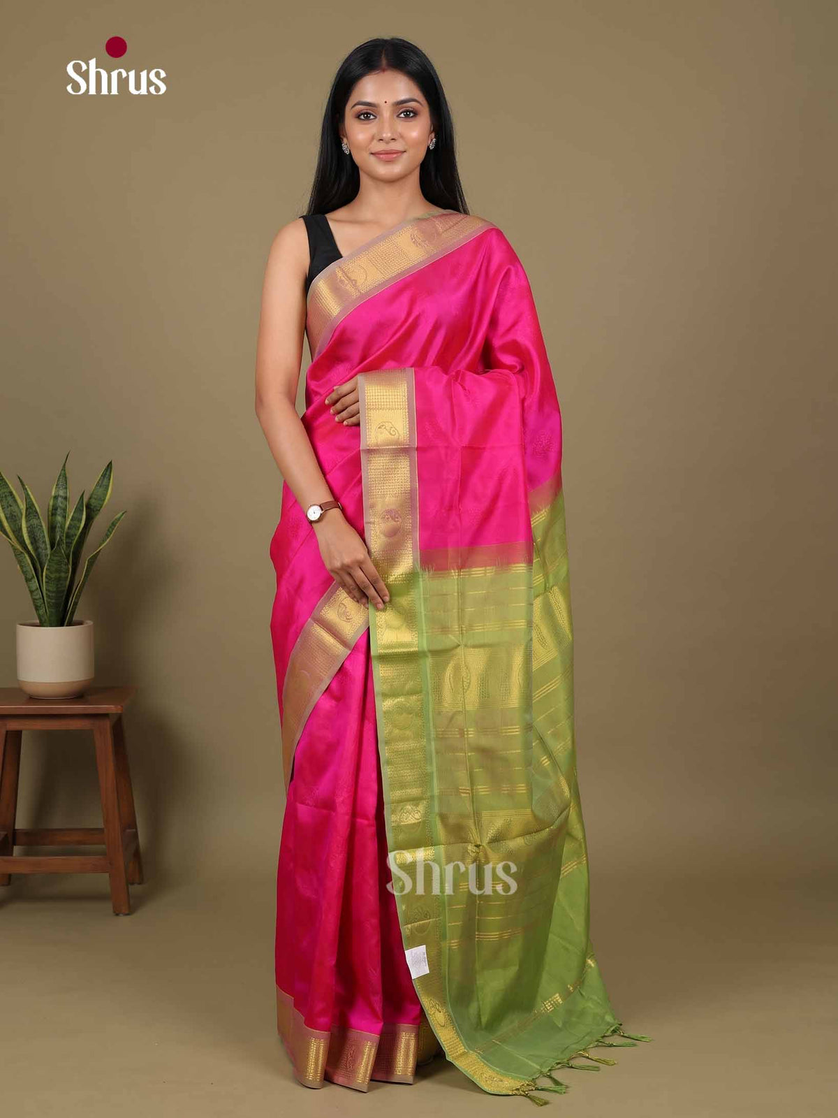 Silk Cotton Saree - EI01031