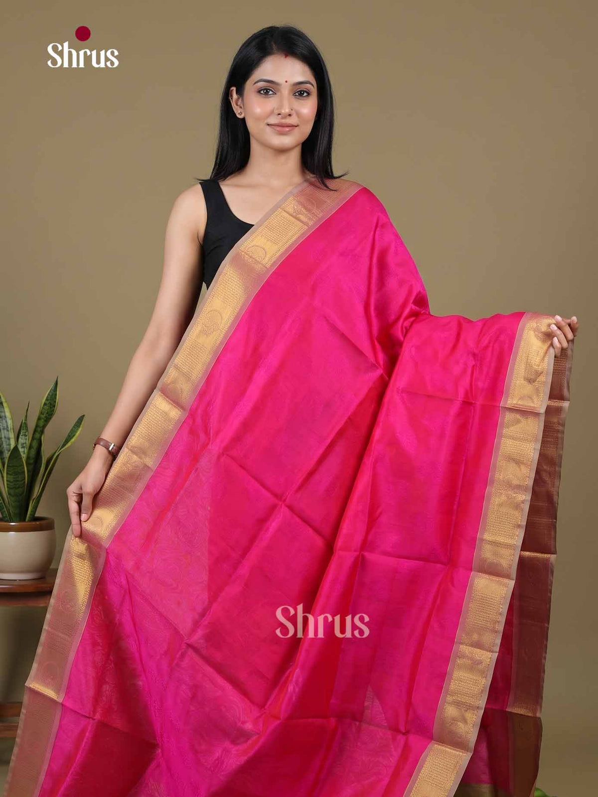 Silk Cotton Saree - EI01031