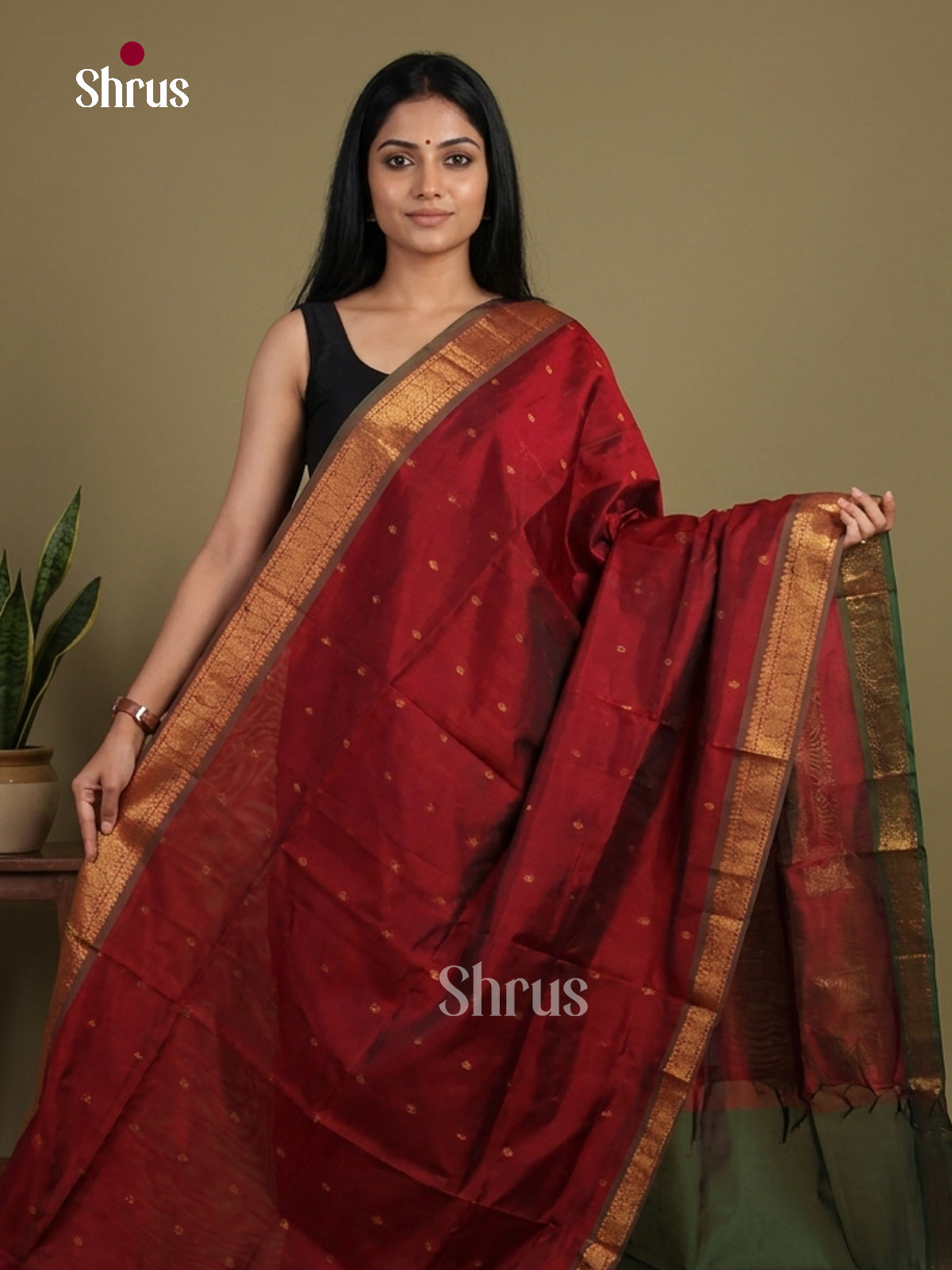 Silk Cotton Saree - EI01046