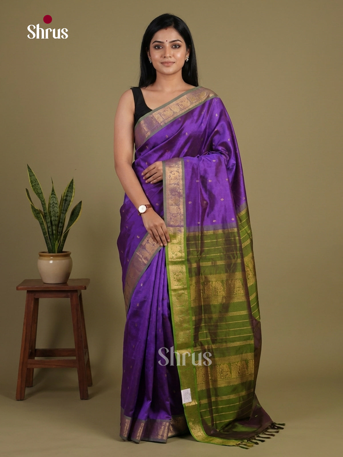 Silk Cotton Saree - EI01048
