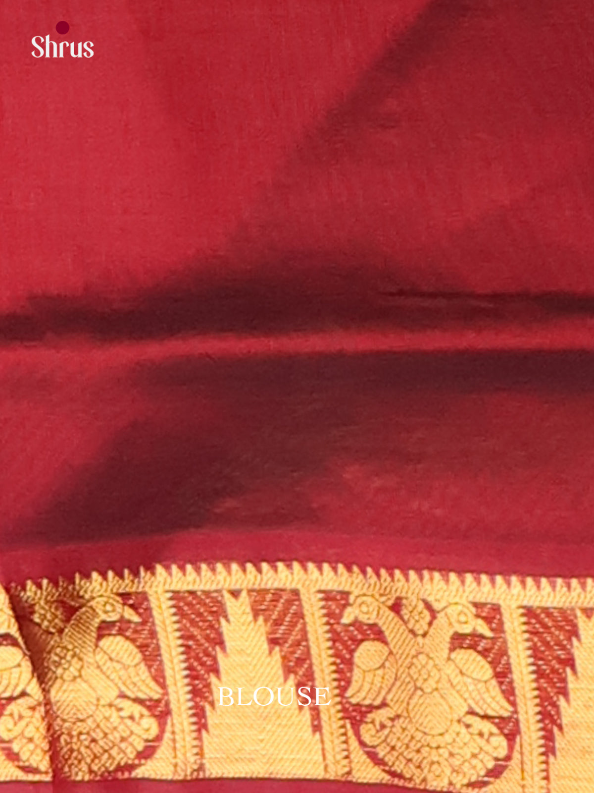 Silk Cotton Saree - EI01050