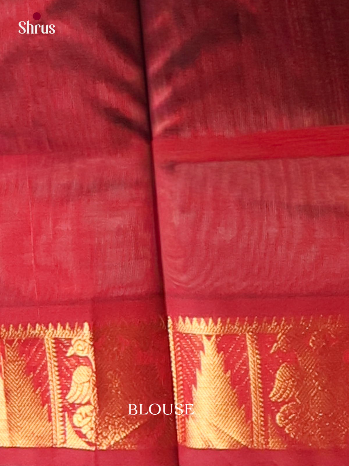 Silk Cotton Saree - EI01055