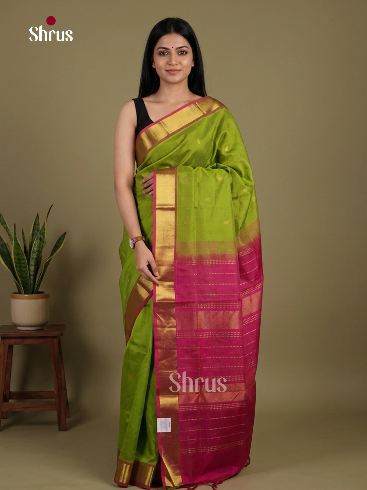 Silk Cotton Saree - EI01064
