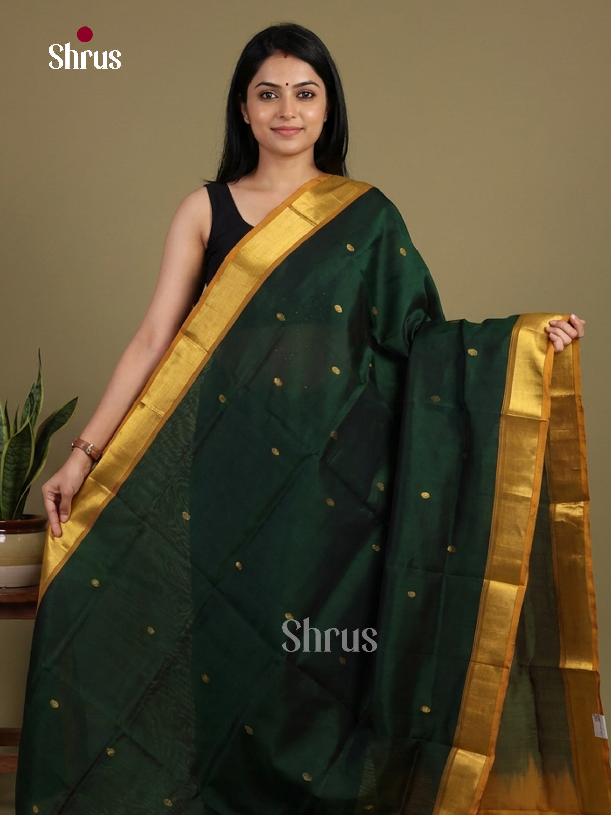 Silk Cotton Saree - EI01066