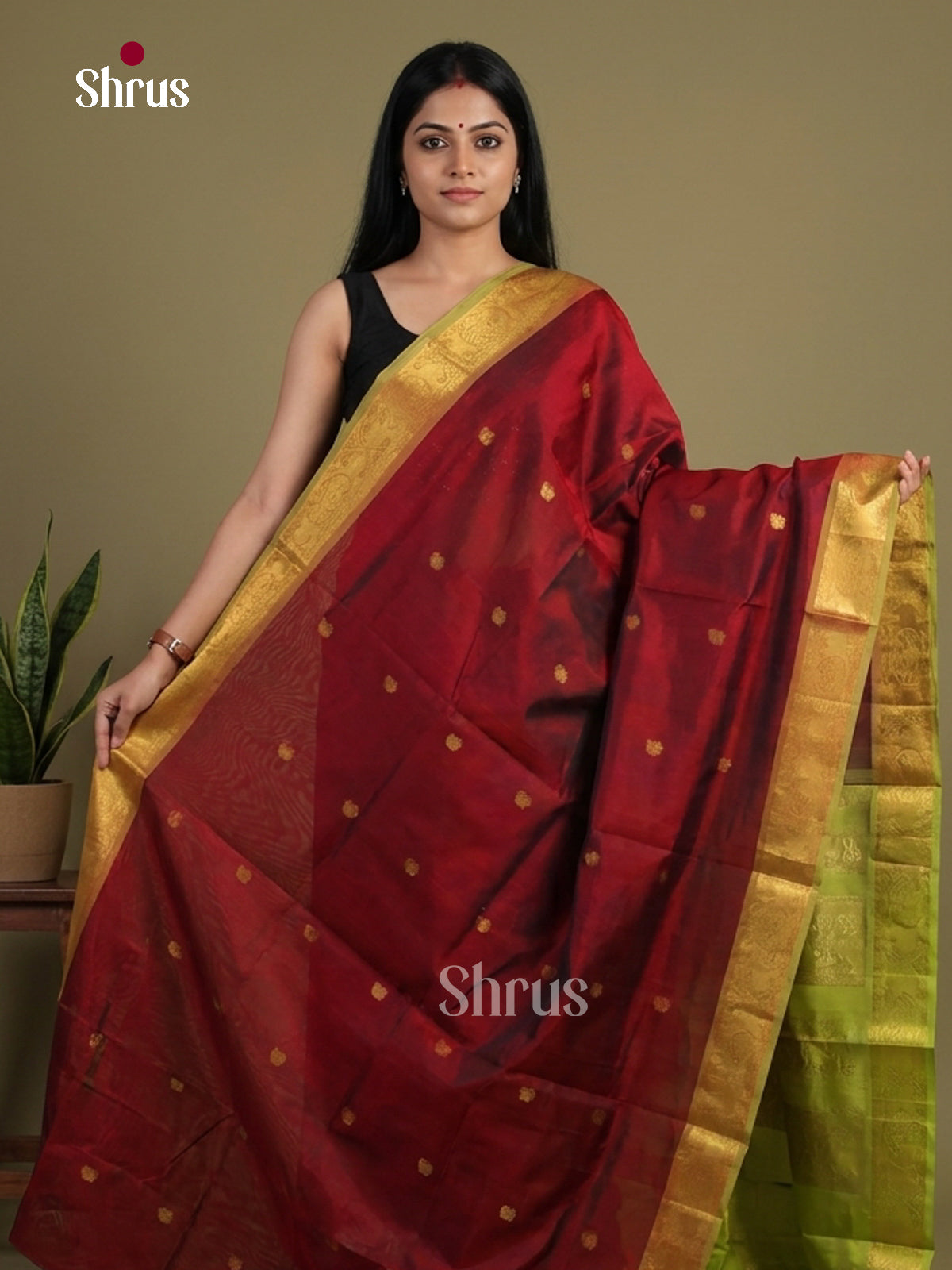 Silk Cotton Saree - EI01074