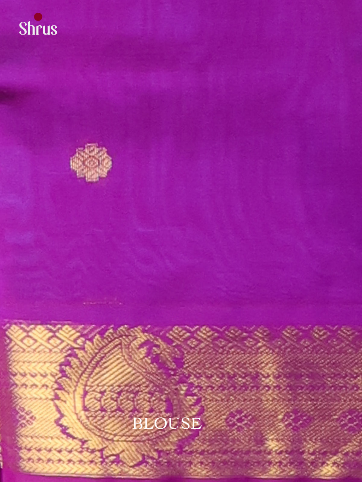 Silk Cotton Saree - EI01075