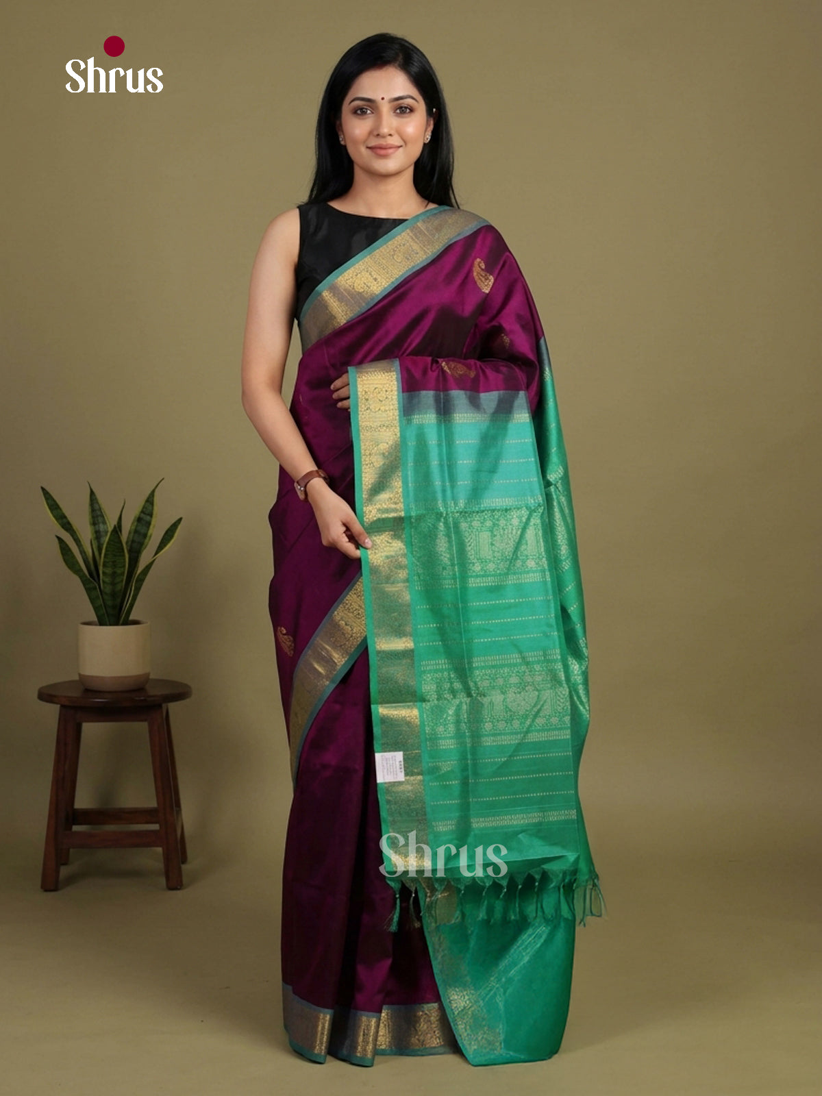 Silk Cotton Saree - EI01087