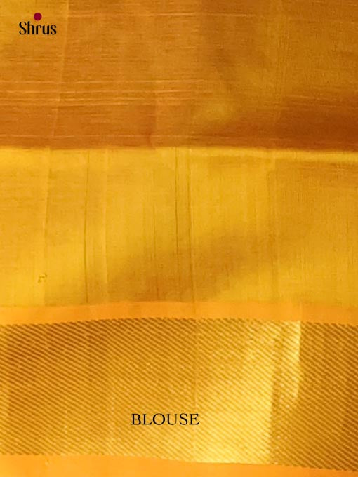 Silk Cotton Saree - EI01094