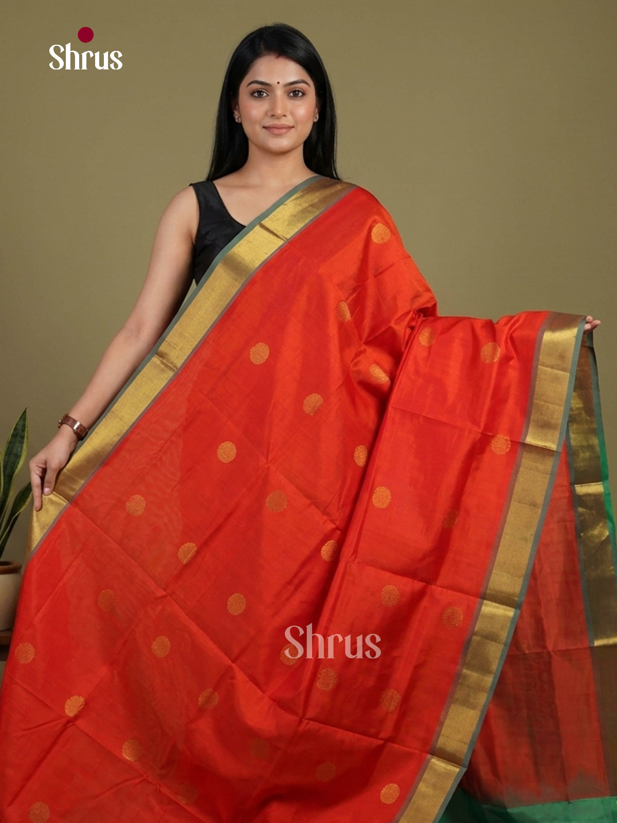Silk Cotton Saree - EI01098