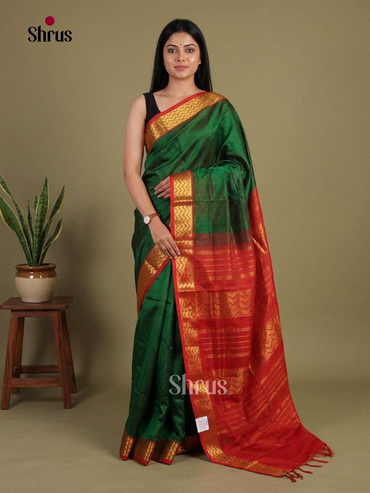 Silk Cotton Saree - EI01181