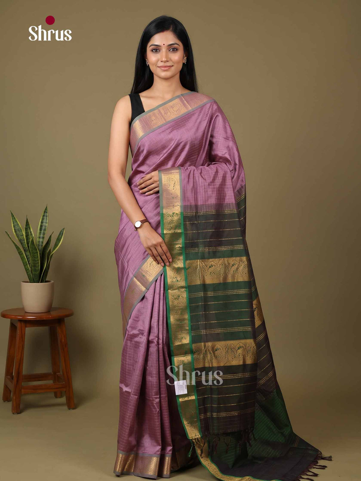 Silk Cotton Saree - EI01137