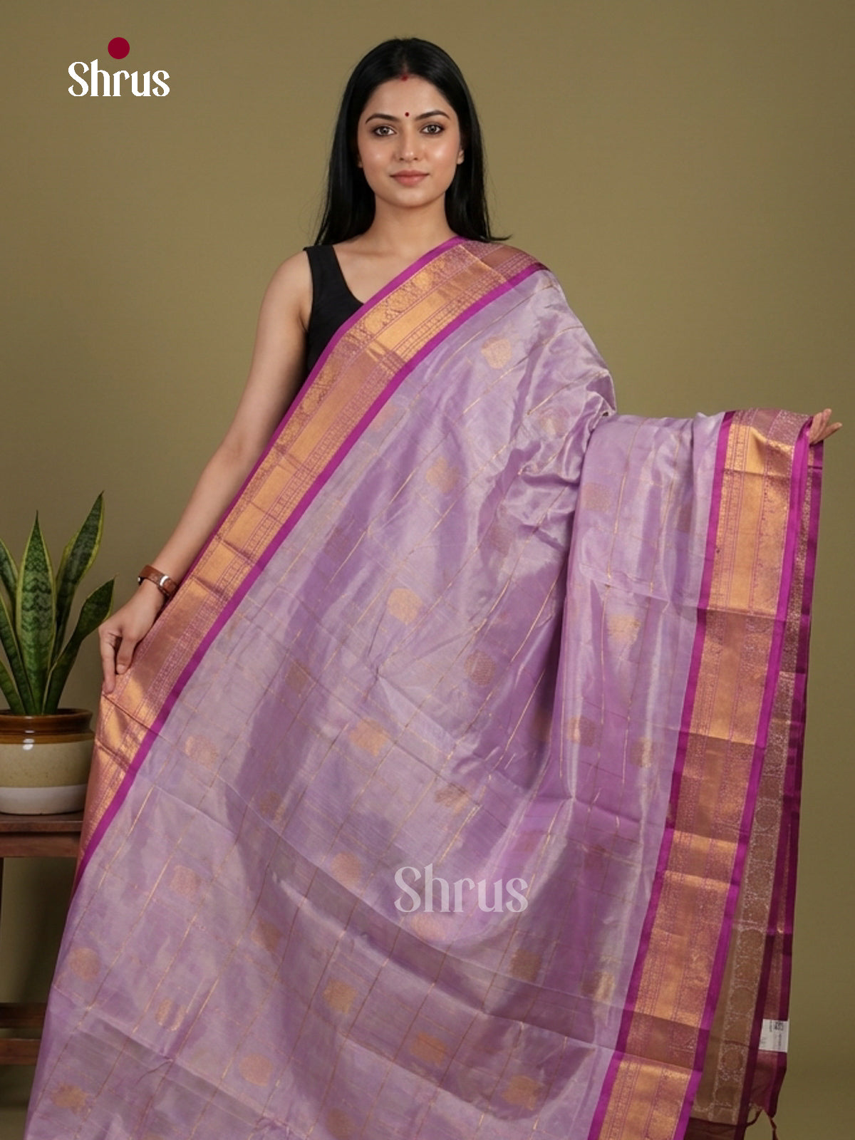 Silk Cotton Saree - EI01148