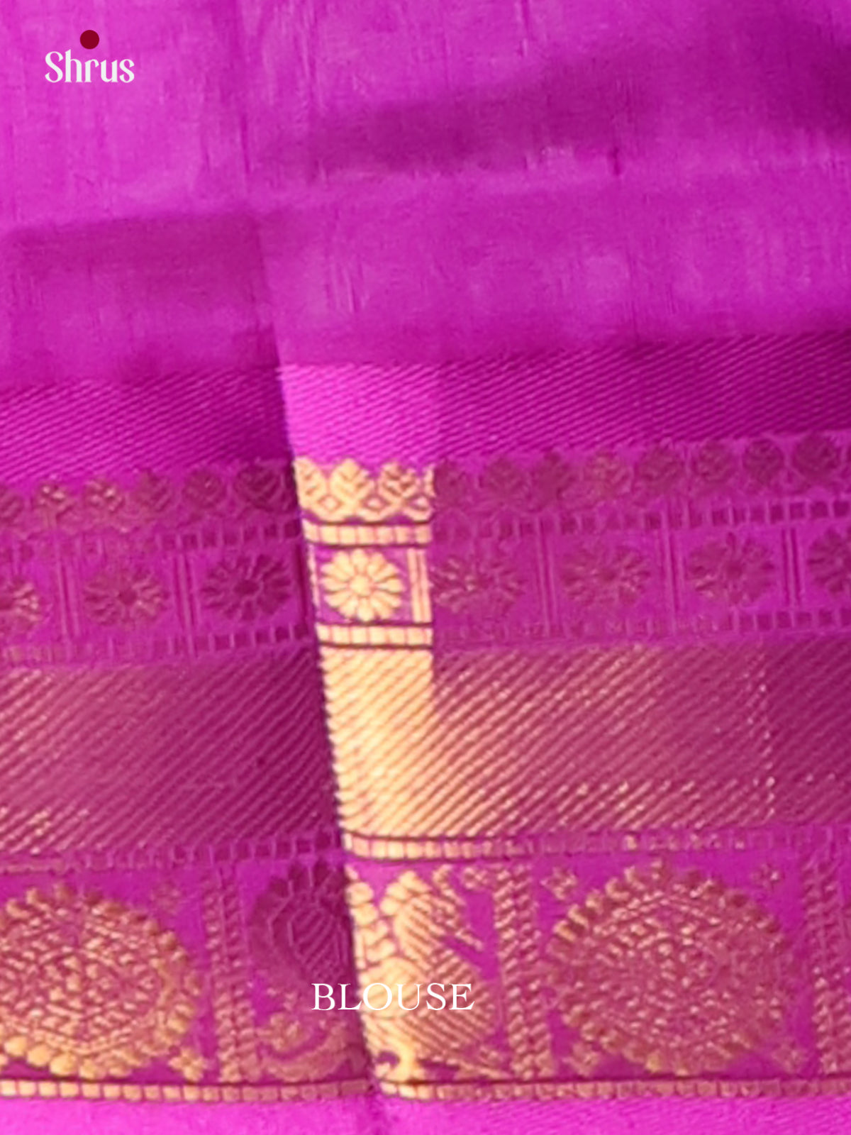 Silk Cotton Saree - EI01148