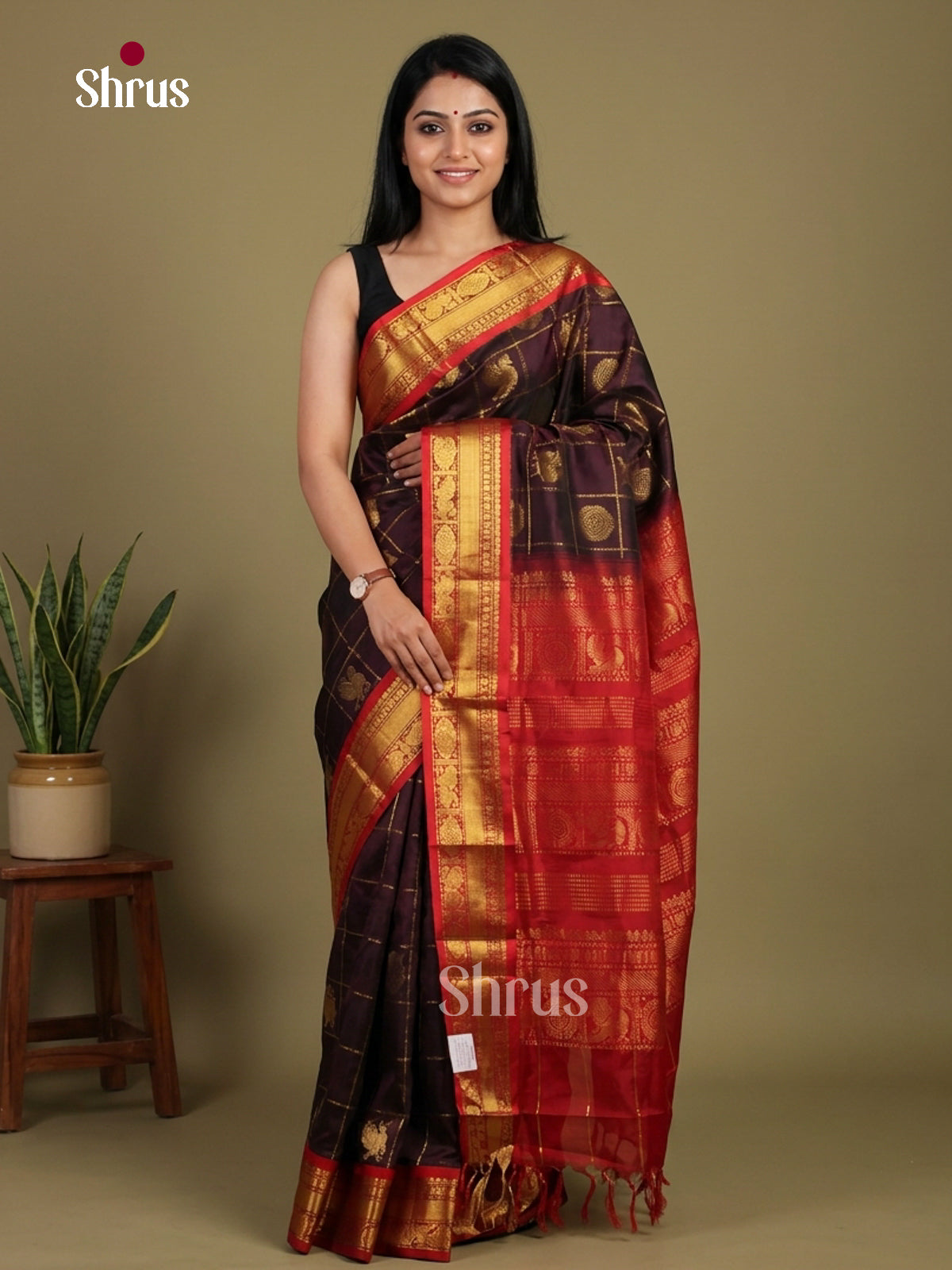 Silk Cotton Saree - EI01149