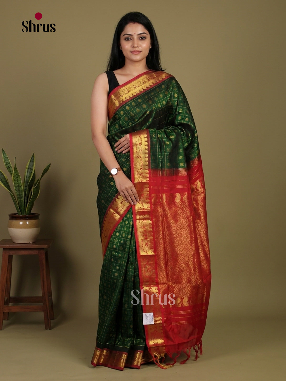 Silk Cotton Saree - EI01162