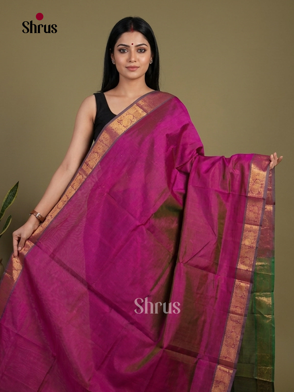 Silk Cotton Saree - EI01189