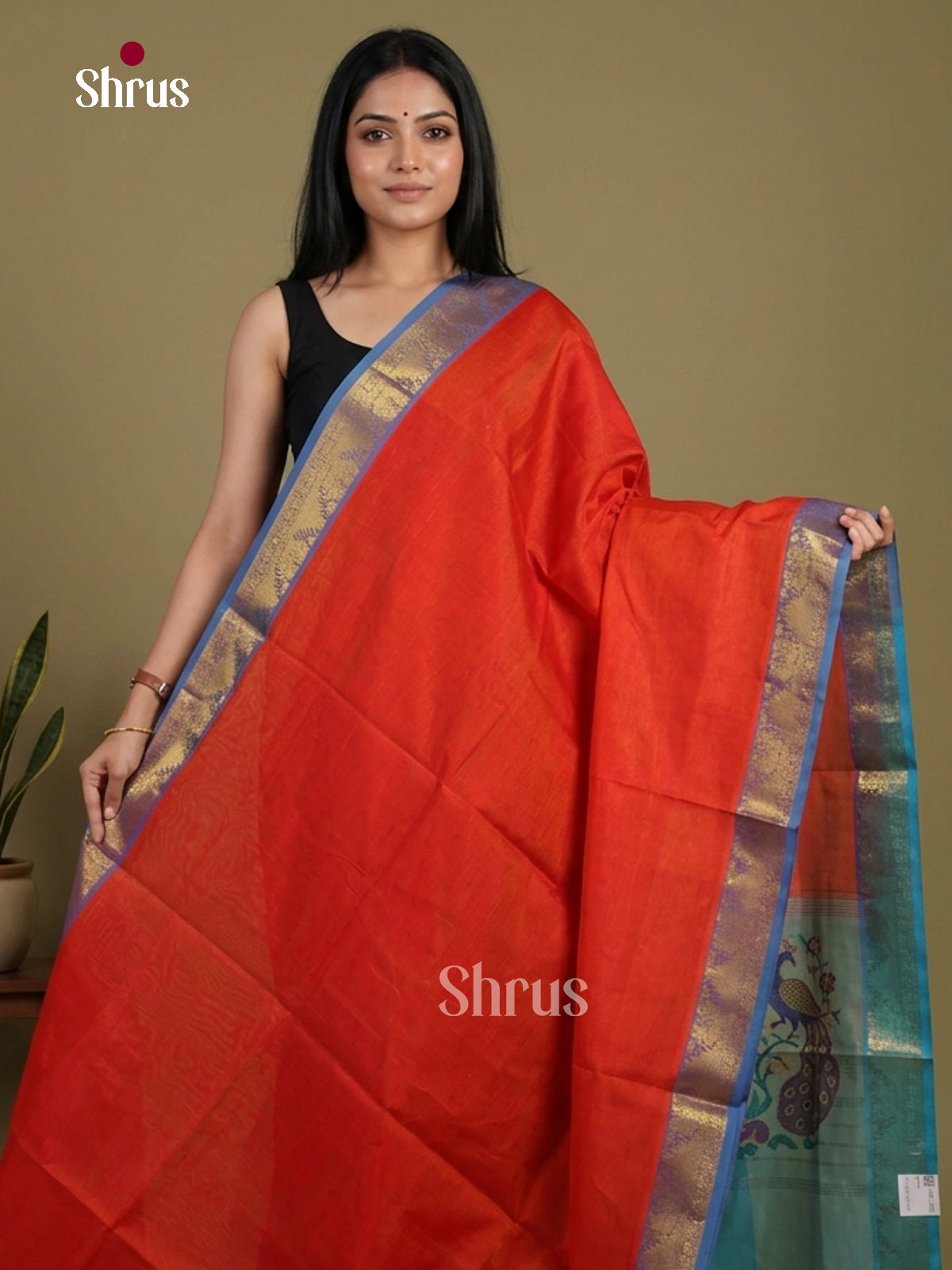 Silk Cotton Saree - EI01191