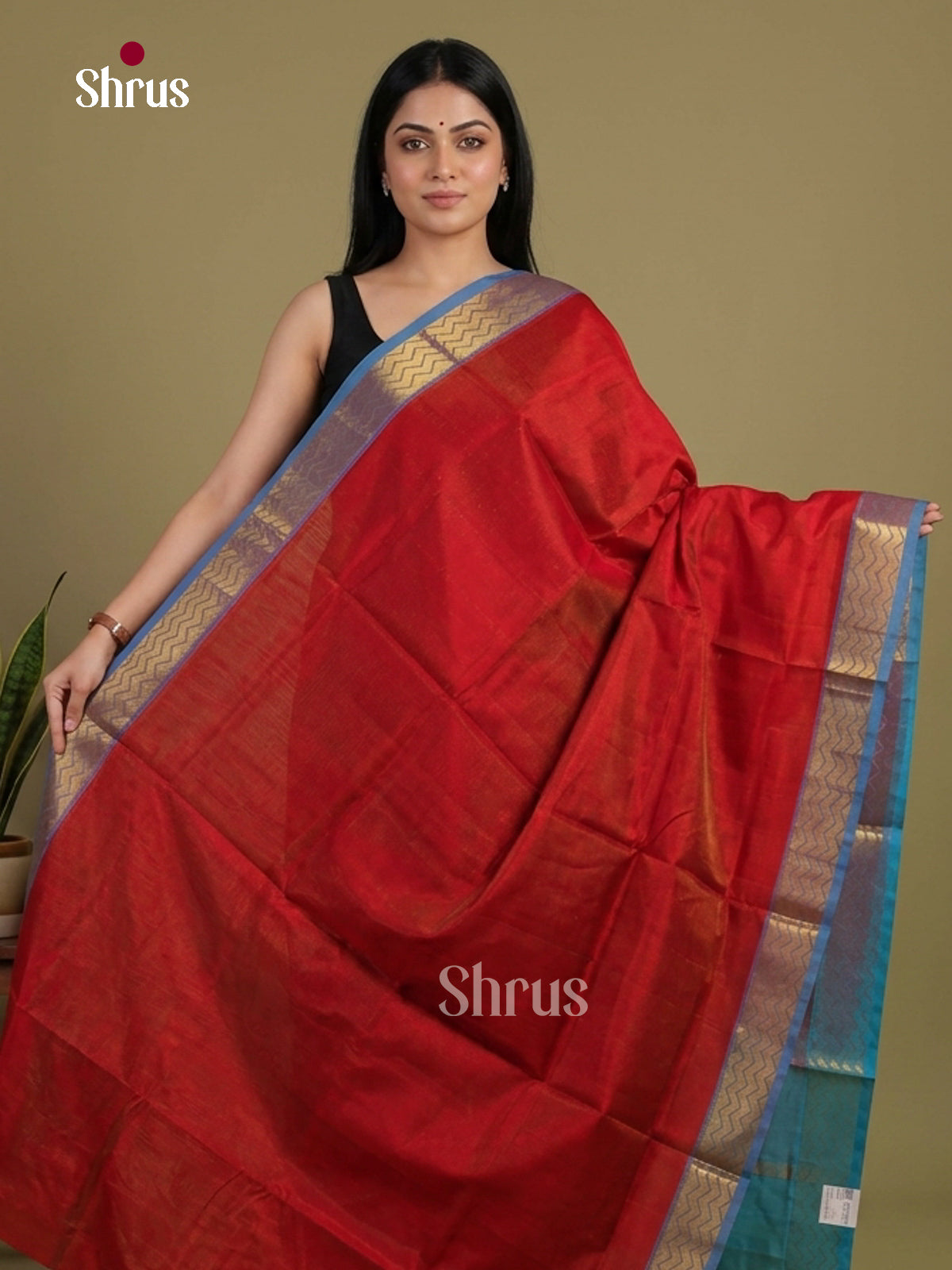 Silk Cotton Saree - EI01193
