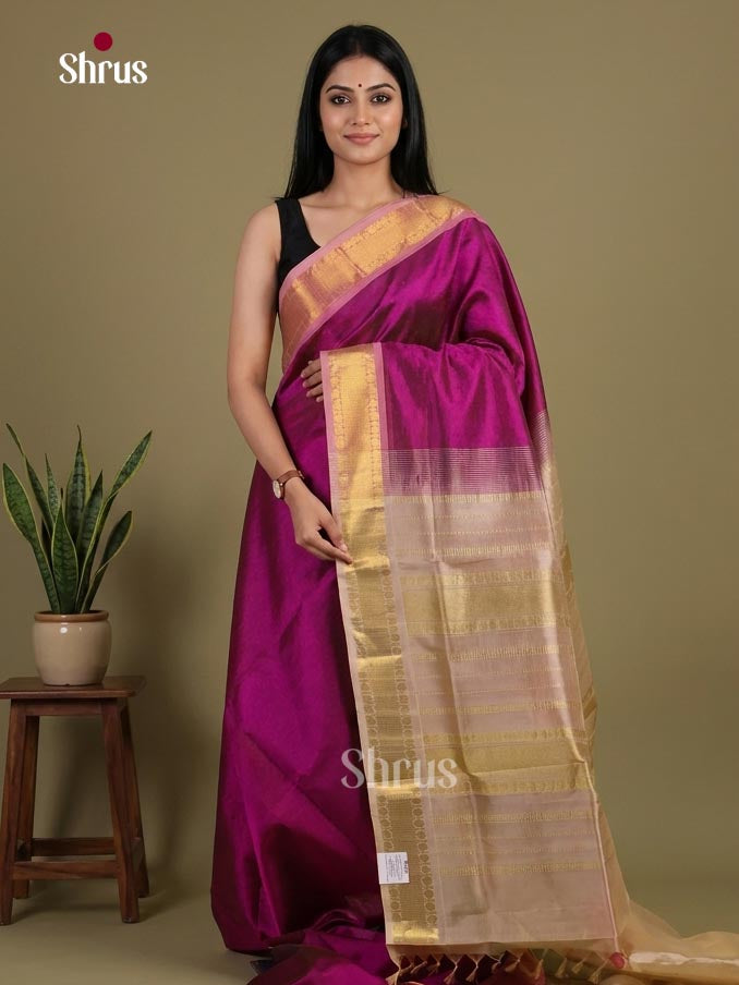 Silk Cotton Saree - EI01213