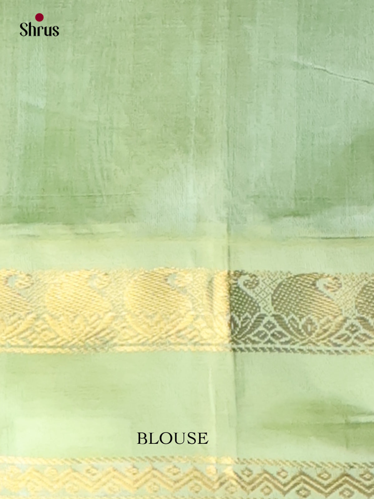Silk Cotton Saree - EI01221