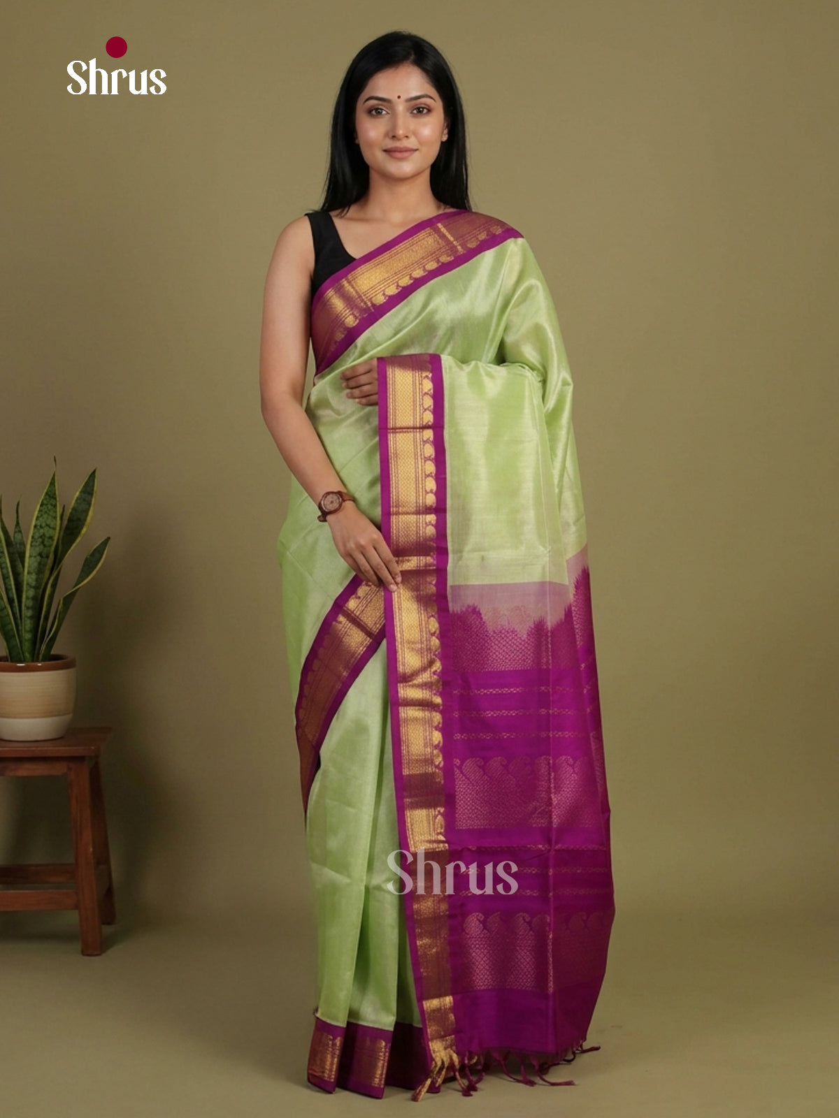 Silk Cotton Saree - EI01226