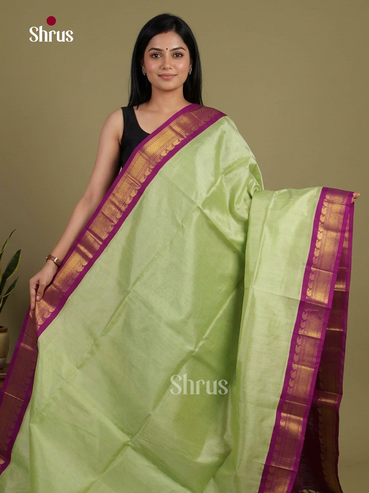 Silk Cotton Saree - EI01226