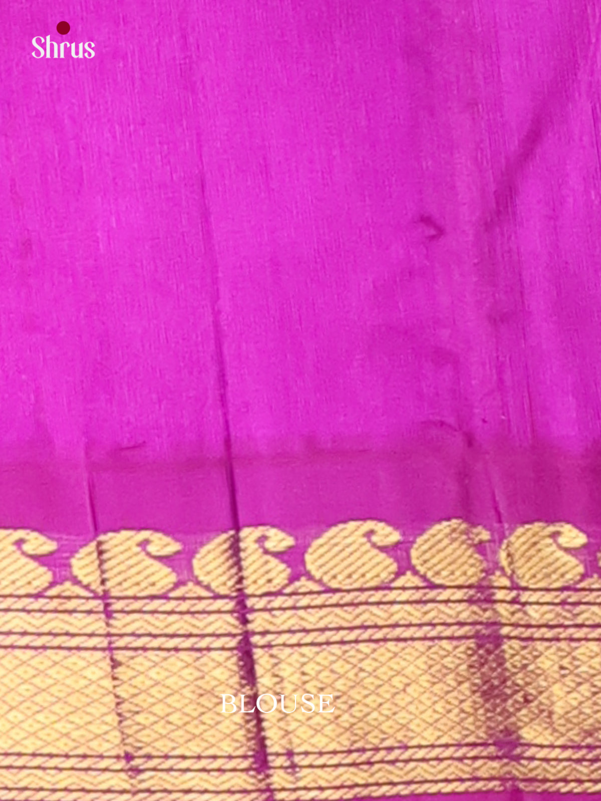 Silk Cotton Saree - EI01226